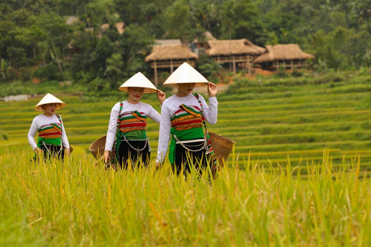 Pu Luong Natura Екстериор снимка